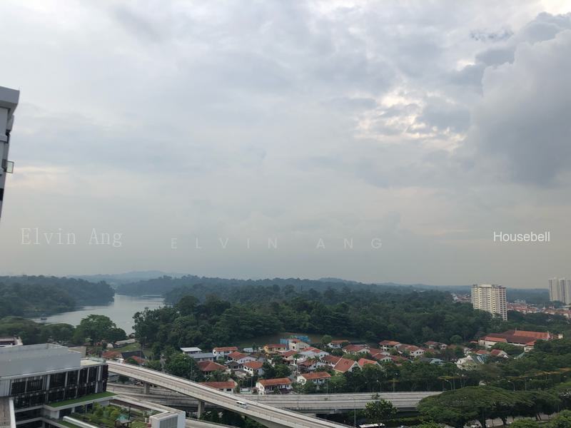 Braddell View