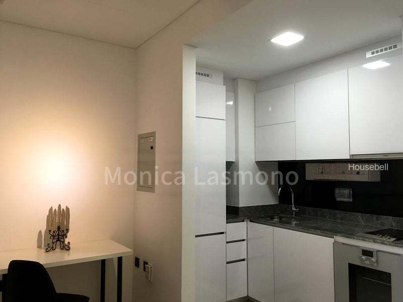 Robinson Suites, S$ 3,800 /mo, 506 sqft, Condos - Condominium