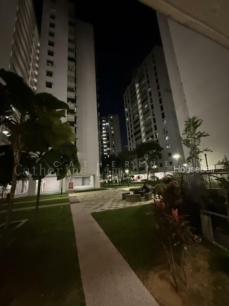 299A Compassvale Street