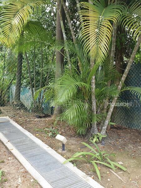 Old House Good Land Build Your Dream Home(5)