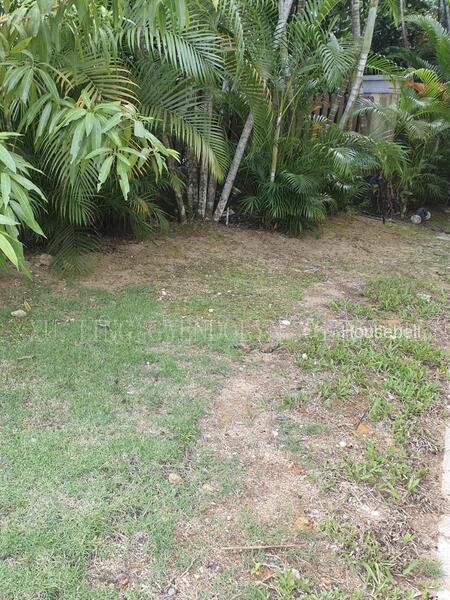 Old House Good Land Build Your Dream Home(3)