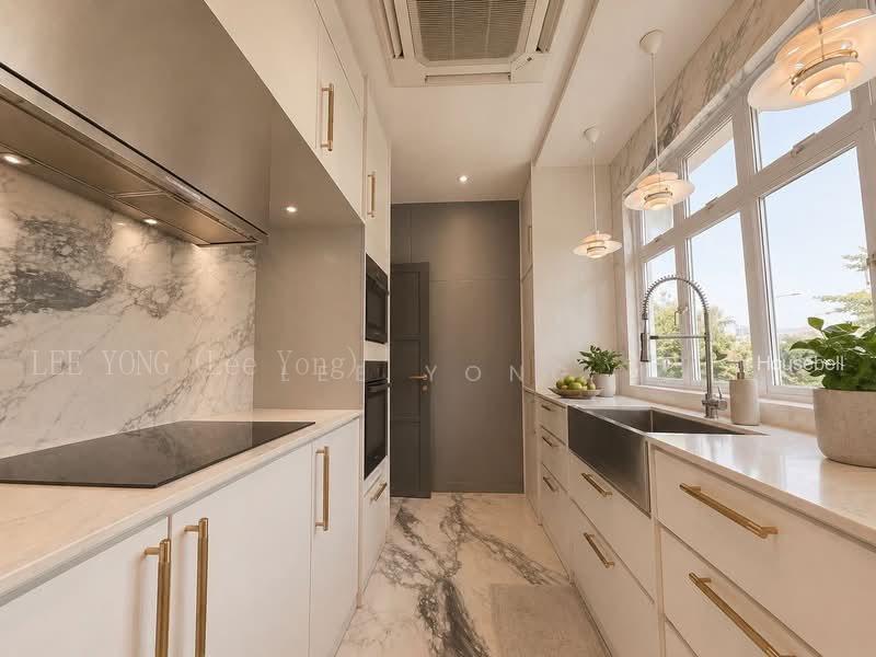 Corner Freehold Semi-Detached, Toh Estate, Renovated, D17(2)