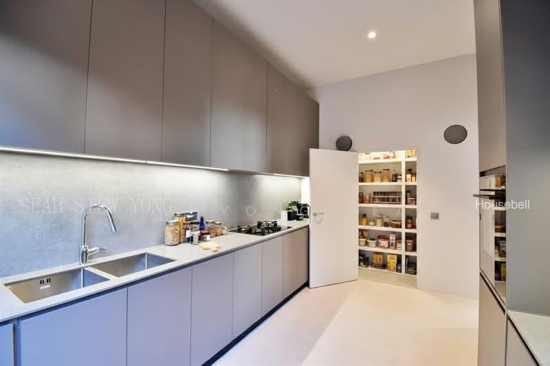 Private Oasis on Hillcrest Road, S$ 14,880,000 (可协商价格), 6,765 sqft, 有地 - Semi-Detached House