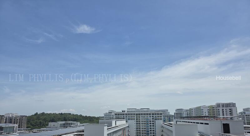 427 Bukit Panjang Ring Road