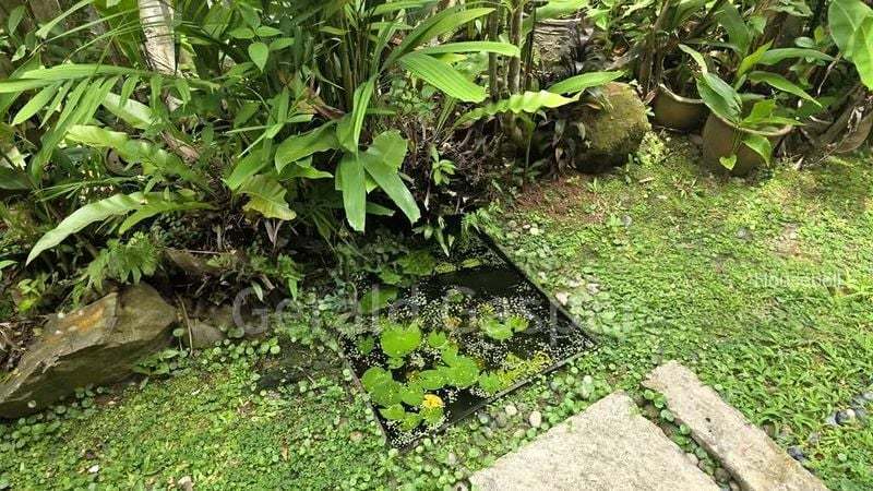439A West Edge @ Bukit Batok, S$ 19,900,000, 9,510 sqft, Landed - Bungalow House