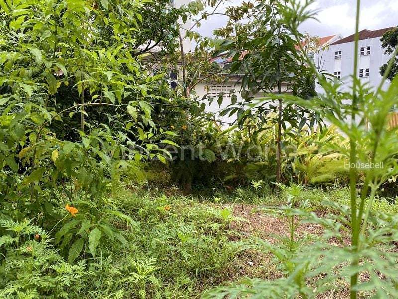 Nanyang Park, S$ 4,500,000, 3,780 sqft, Landed - Corner Terrace