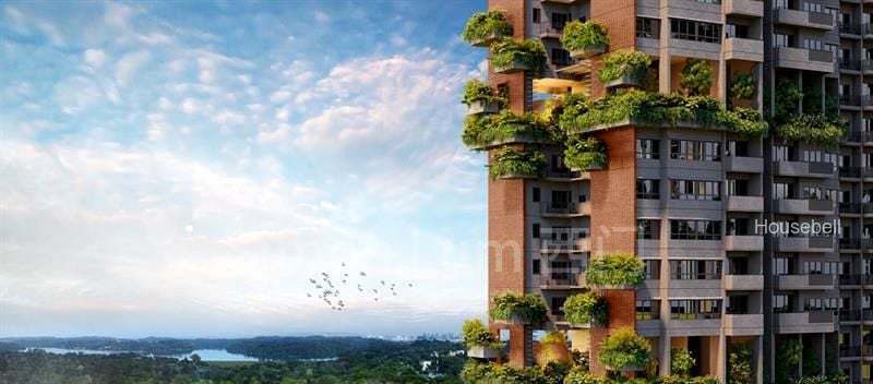 Springleaf Residence(2)