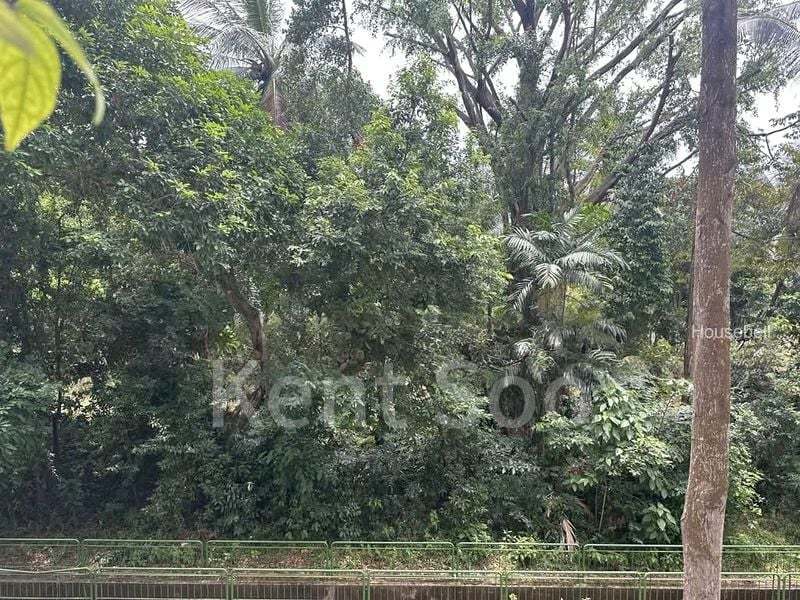 305 Clementi Avenue 4, S$ 1,388 /mo, 150 sqft, HDB - 3 A