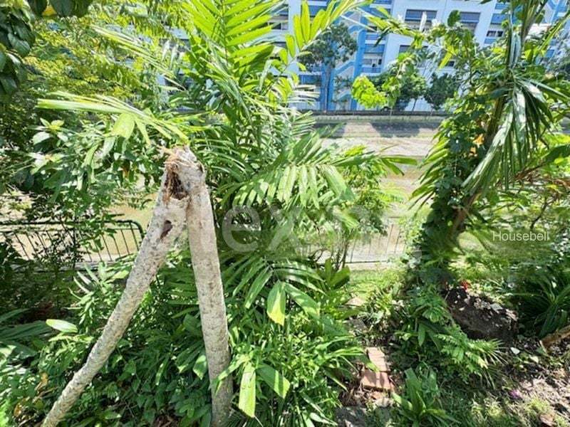 Picardy Gardens, S$ 7,000,000, 4,300 sqft, Landed - Semi-Detached House