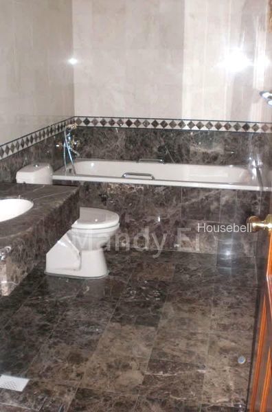 Richmond Ville, S$ 9,000 /mo, 3,400 sqft, Landed - Semi-Detached House