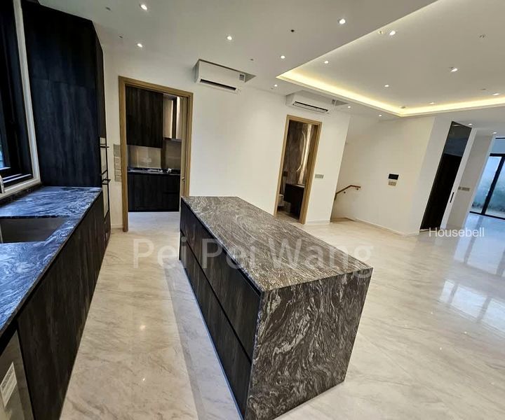 6 Bed Terraced House (Landed) for Sale around  Shrewsbury Road, S$ 7,880,000, 1,752 sqft, Landed - Terraced House